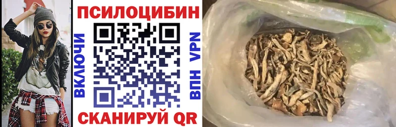 купить наркотик  Почеп  Галлюциногенные грибы Psilocybe 